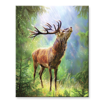 Elk Painting By Number