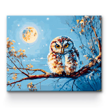 Owl At Night Painting By Number