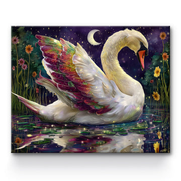 Swan Painting By Number