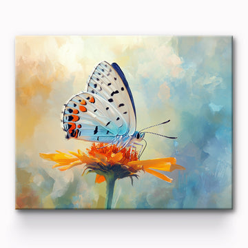 Butterfly Painting By Number