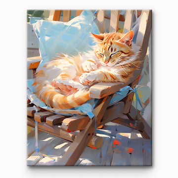 Cat Taking Afternoon Nap Painting By Number