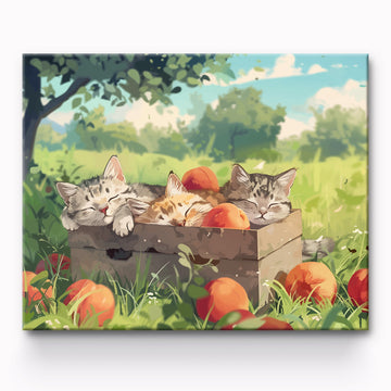 Sleeping Cat Painting By Number