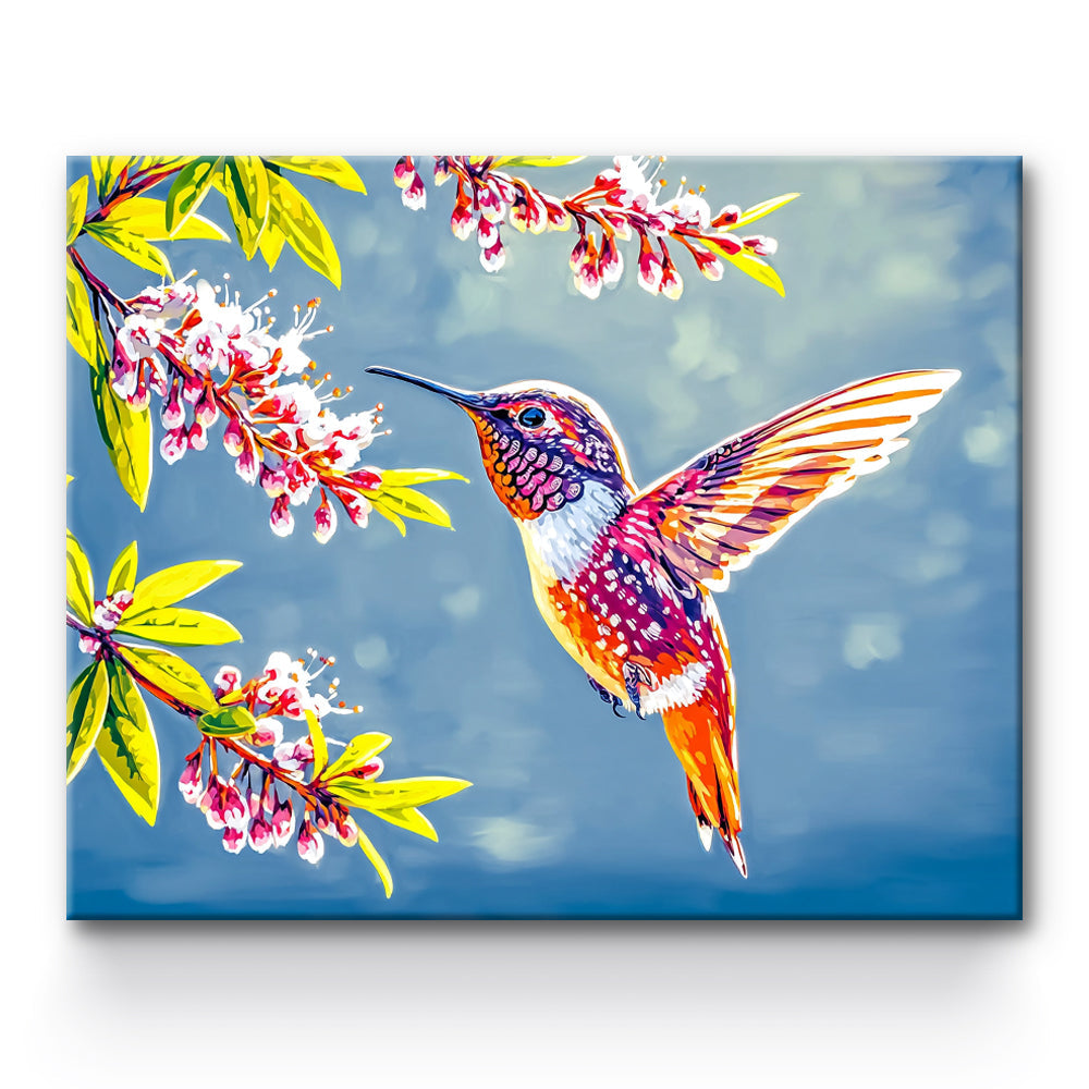 Hummingbird Painting By Number