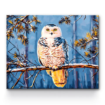 Owl Painting By Number