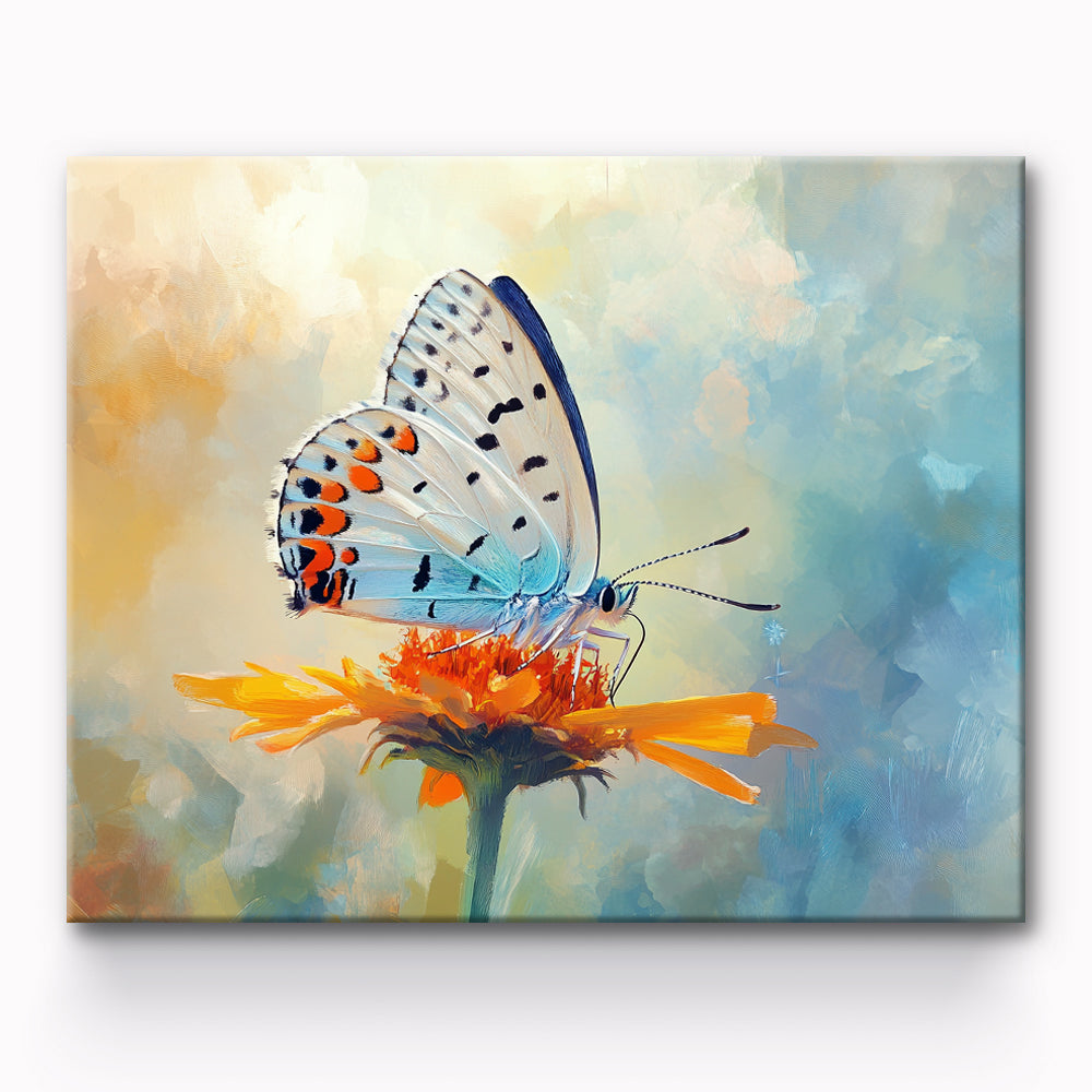 Butterfly Painting By Number