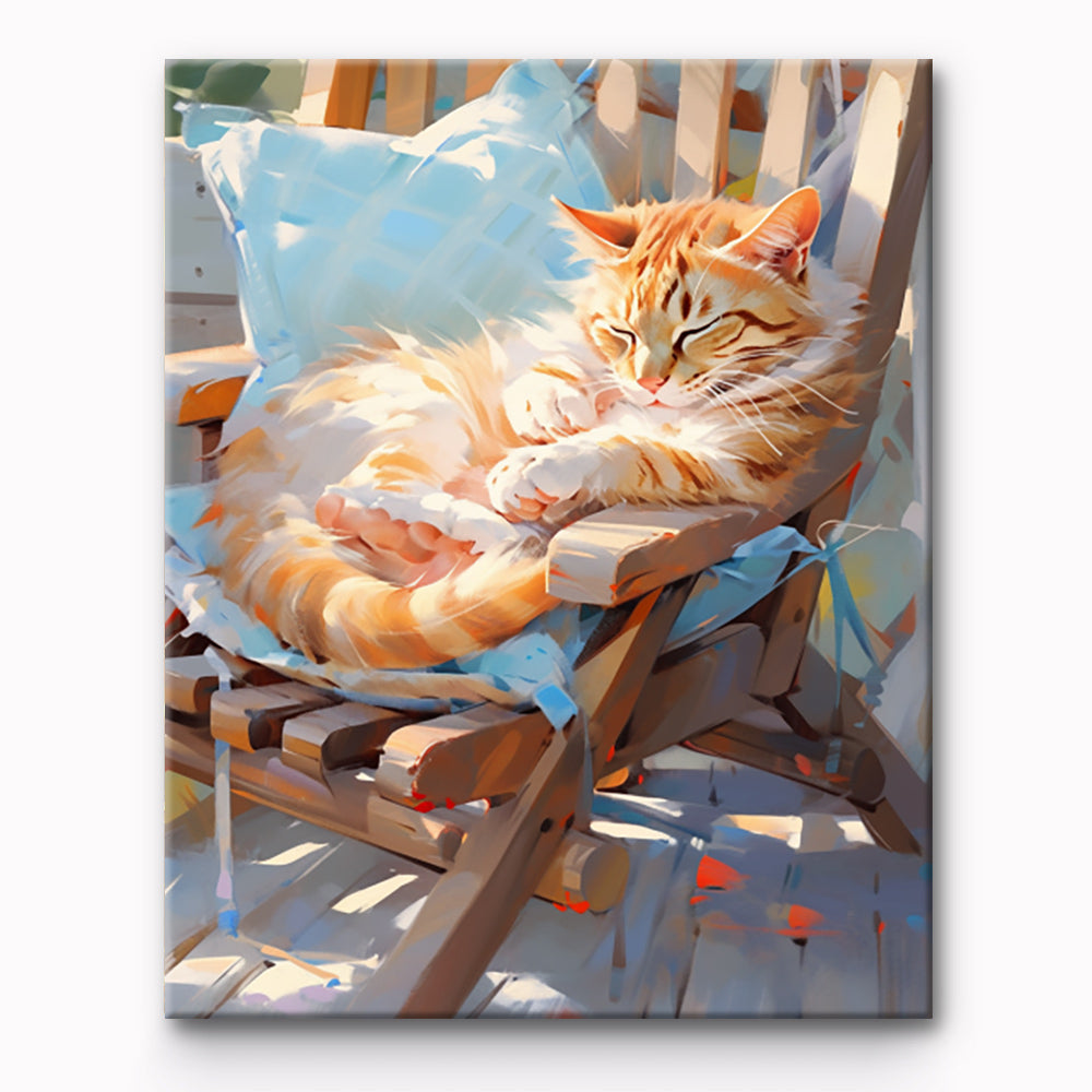 Cat Taking Afternoon Nap Painting By Number